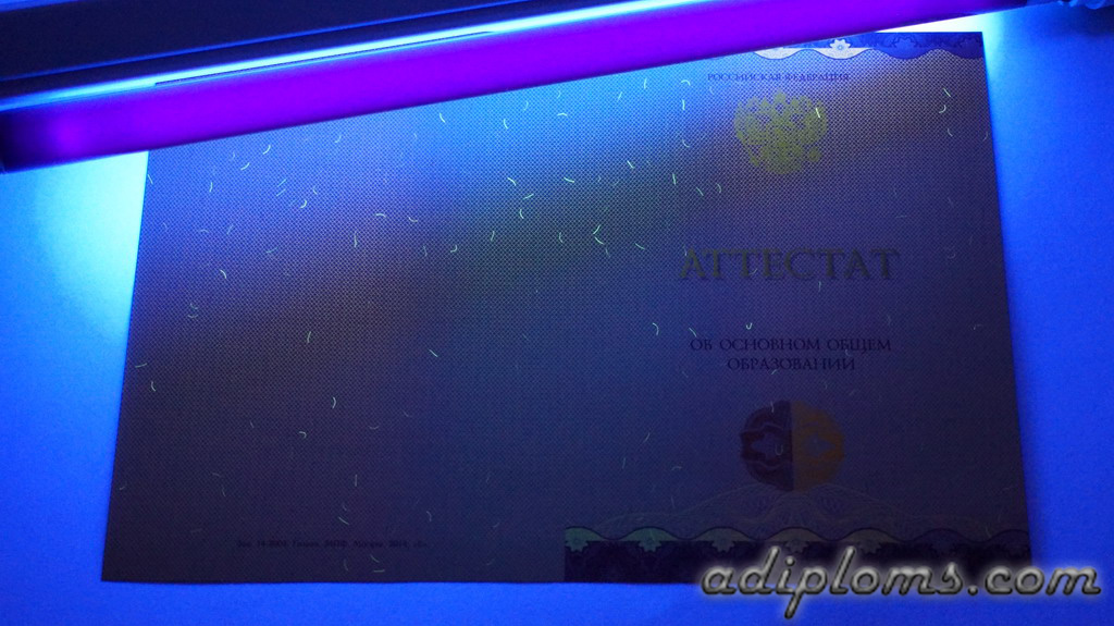 Аттестат 9 классов 2014-2026 Фото