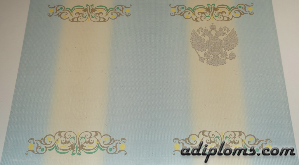 Диплом специалиста 2011-2013 Фото Диплом специалиста 2011-2013 Фото
